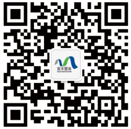 麻豆成人影院在线观看