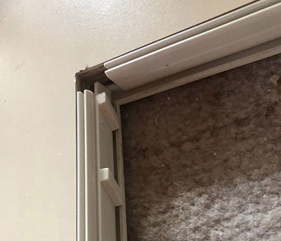 麻豆成人影院在线观看